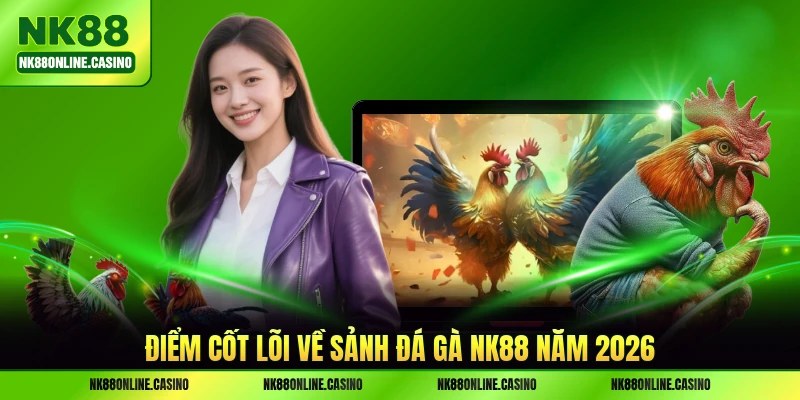 Điểm cốt lõi về sảnh đá gà NK88 năm 2026